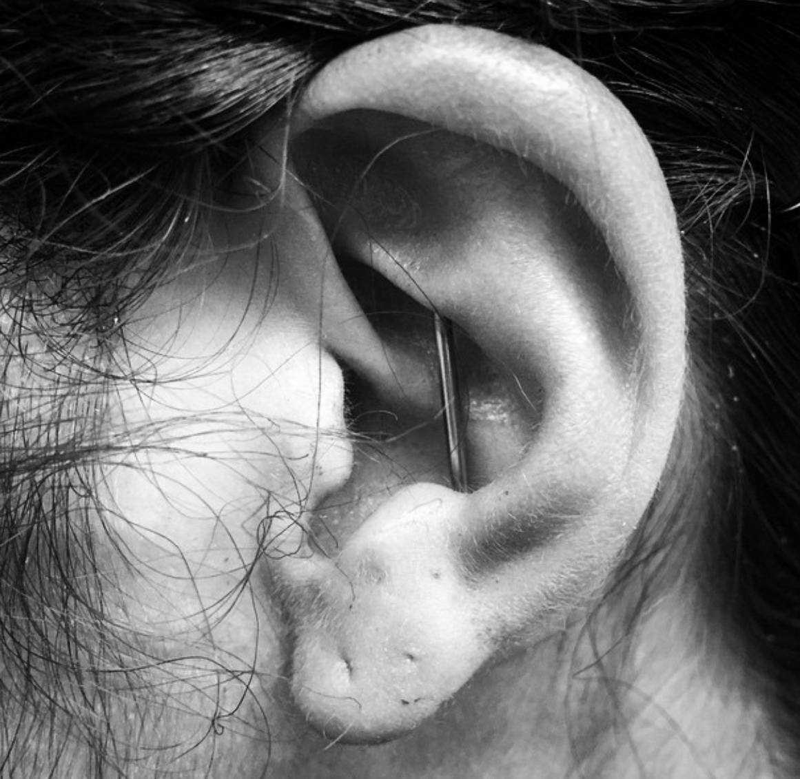 Conch piercing by Nick Sida at Darkstar Tattoo